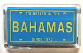 SOUVENIR LICENCE PLATE