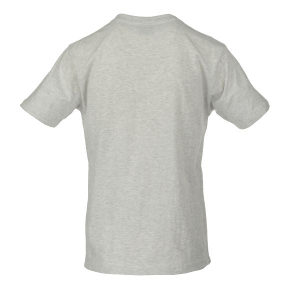 Adult Solid T-Shirts Ash Grey T-100