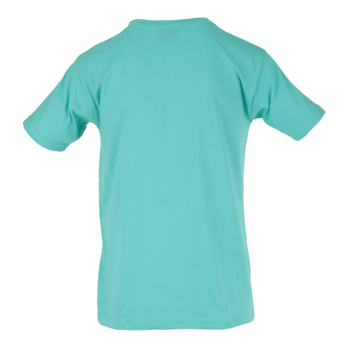 Youth Solid T-shirt Chalky Mint (T-200)