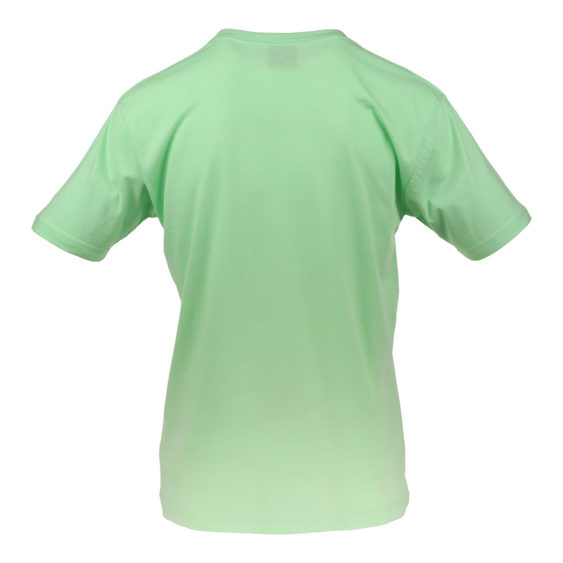 Youth Solid T-Shirts Mint Green T-200