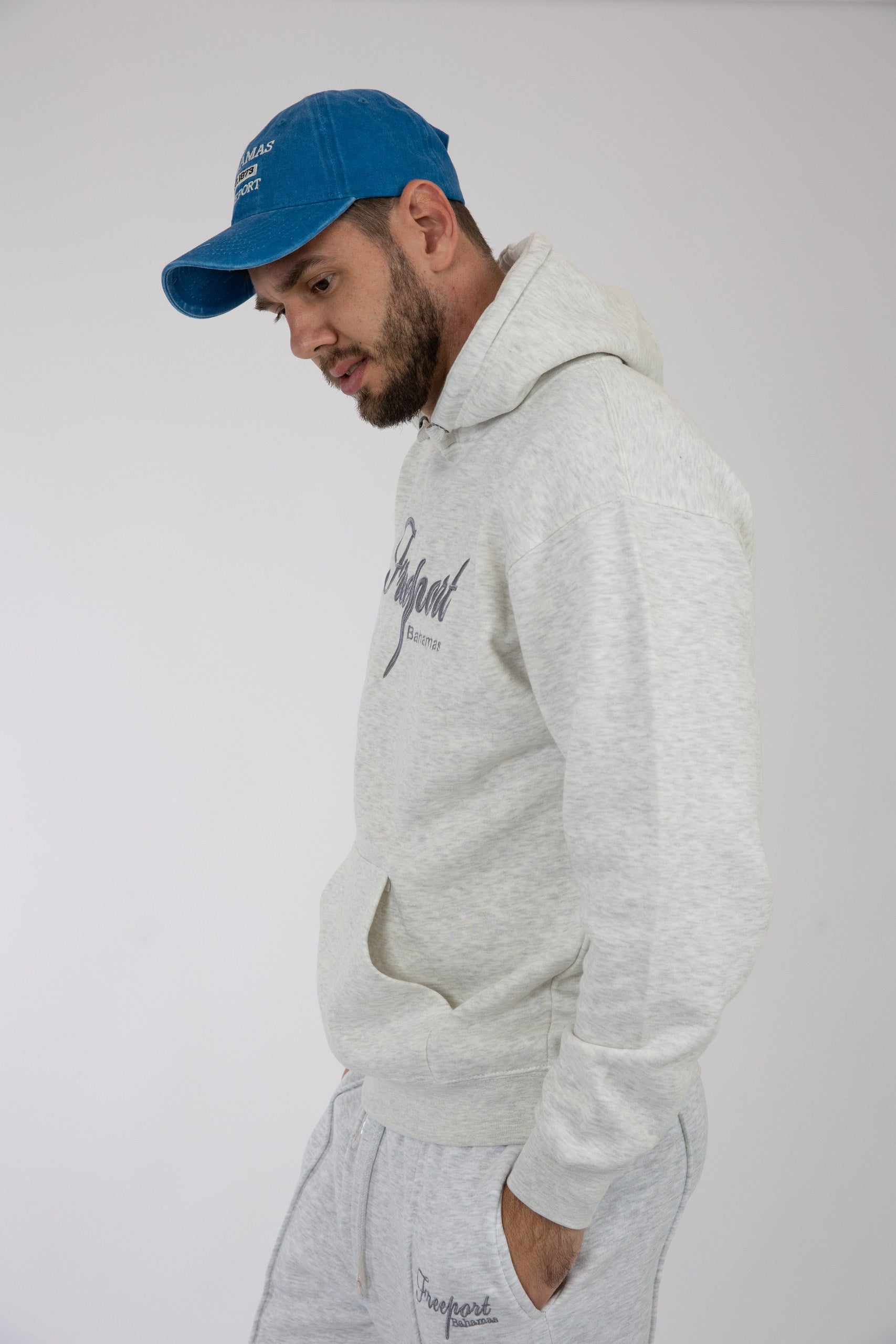 Adult Solid Hoodie Ash Grey