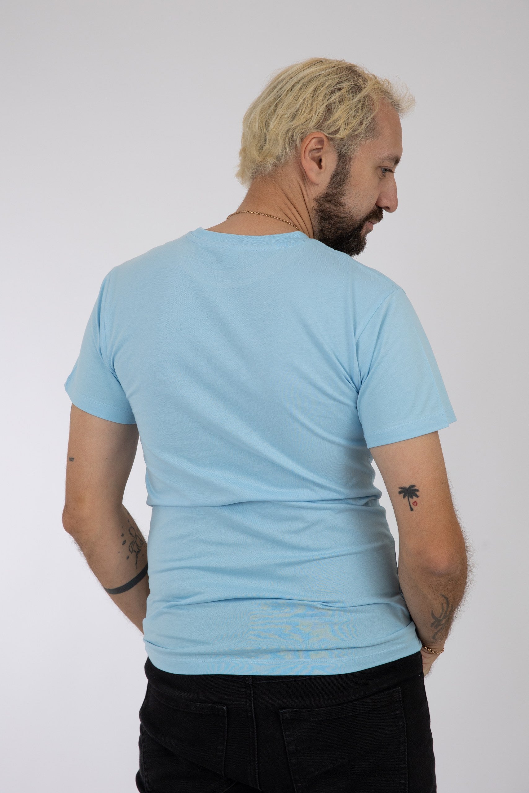 Adult Solid T-Shirts Sky Blue