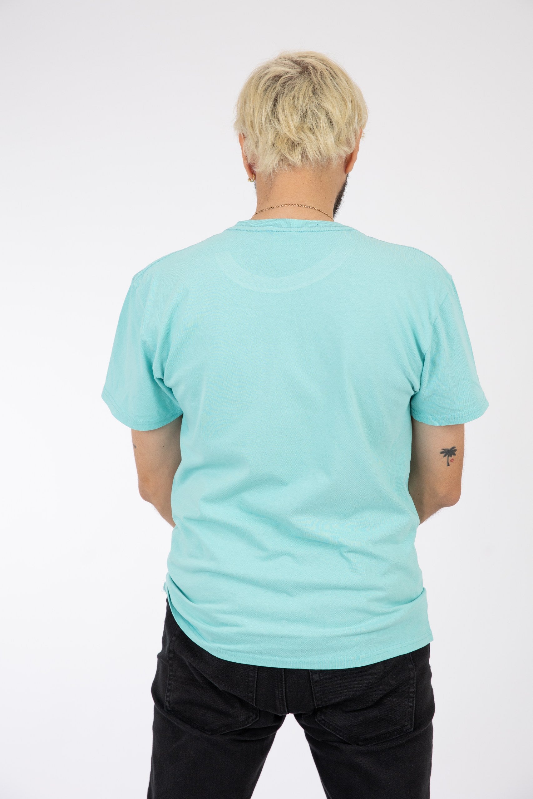 Adult Solid T-shirt Chalky Mint