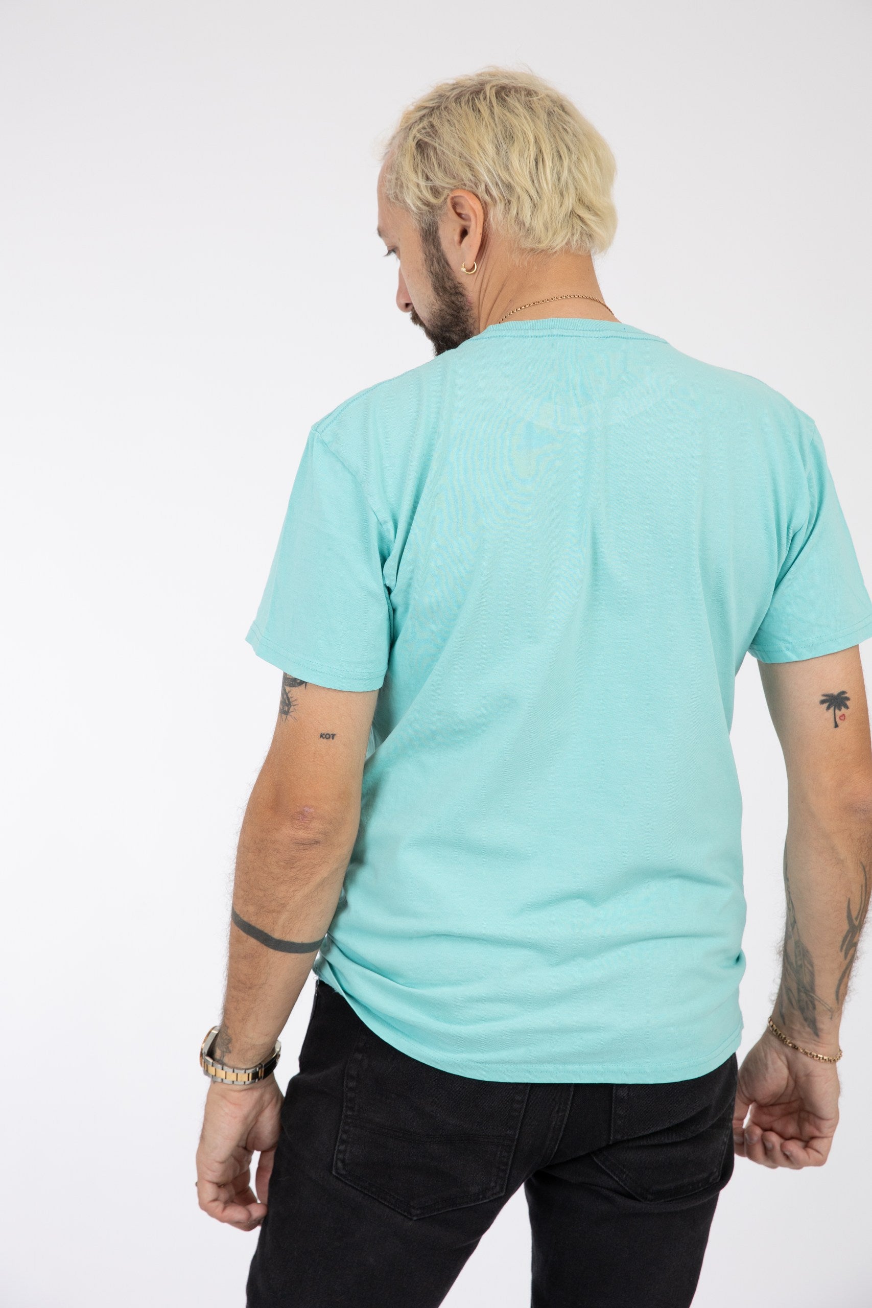 Adult Solid T-shirt Chalky Mint