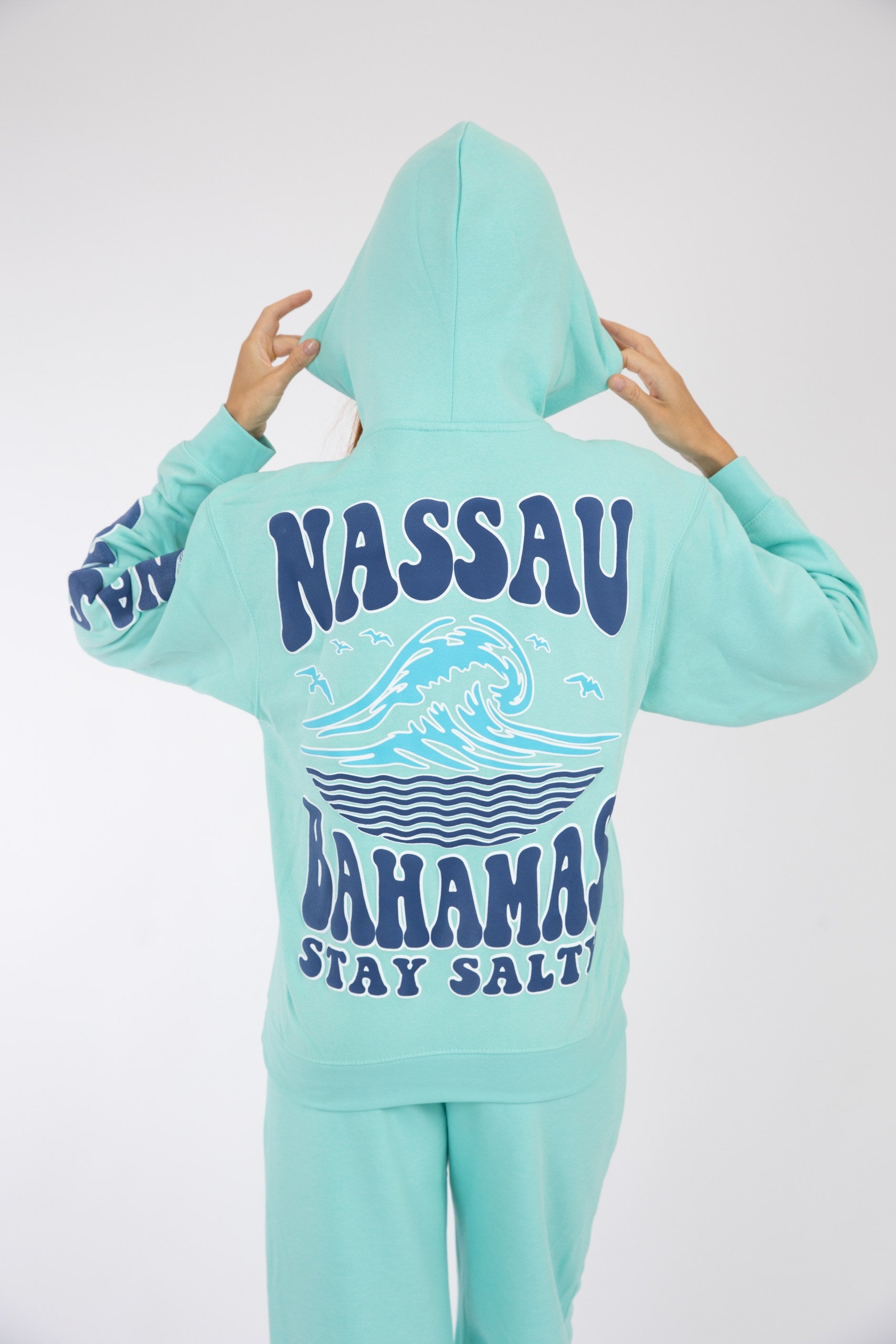 Adult Hoodie Chalky Mint