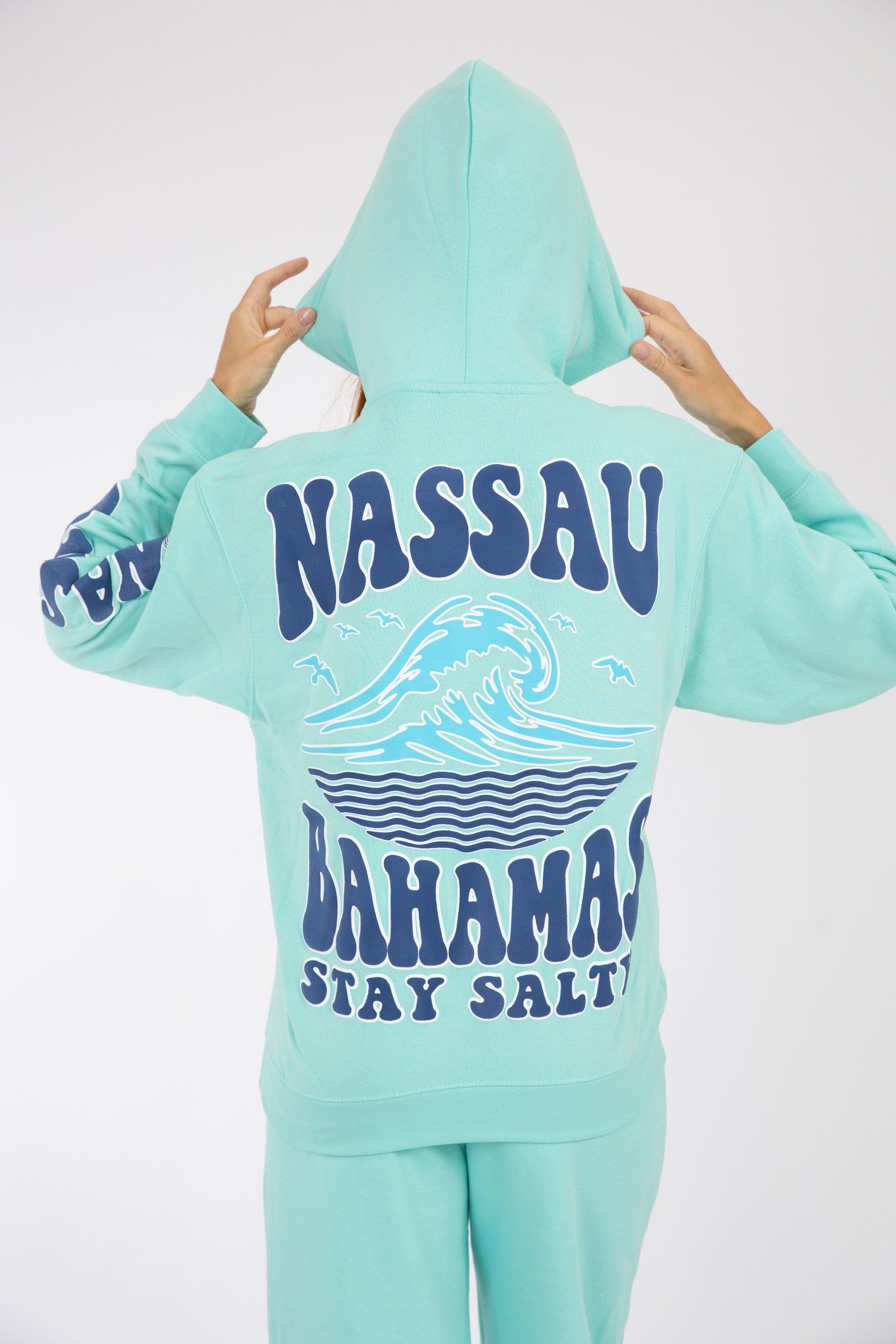 Adult Hoodie Chalky Mint