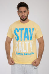 Adult Solid T-Shirts Sand