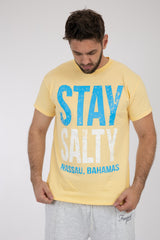 Adult Solid T-Shirts Sand
