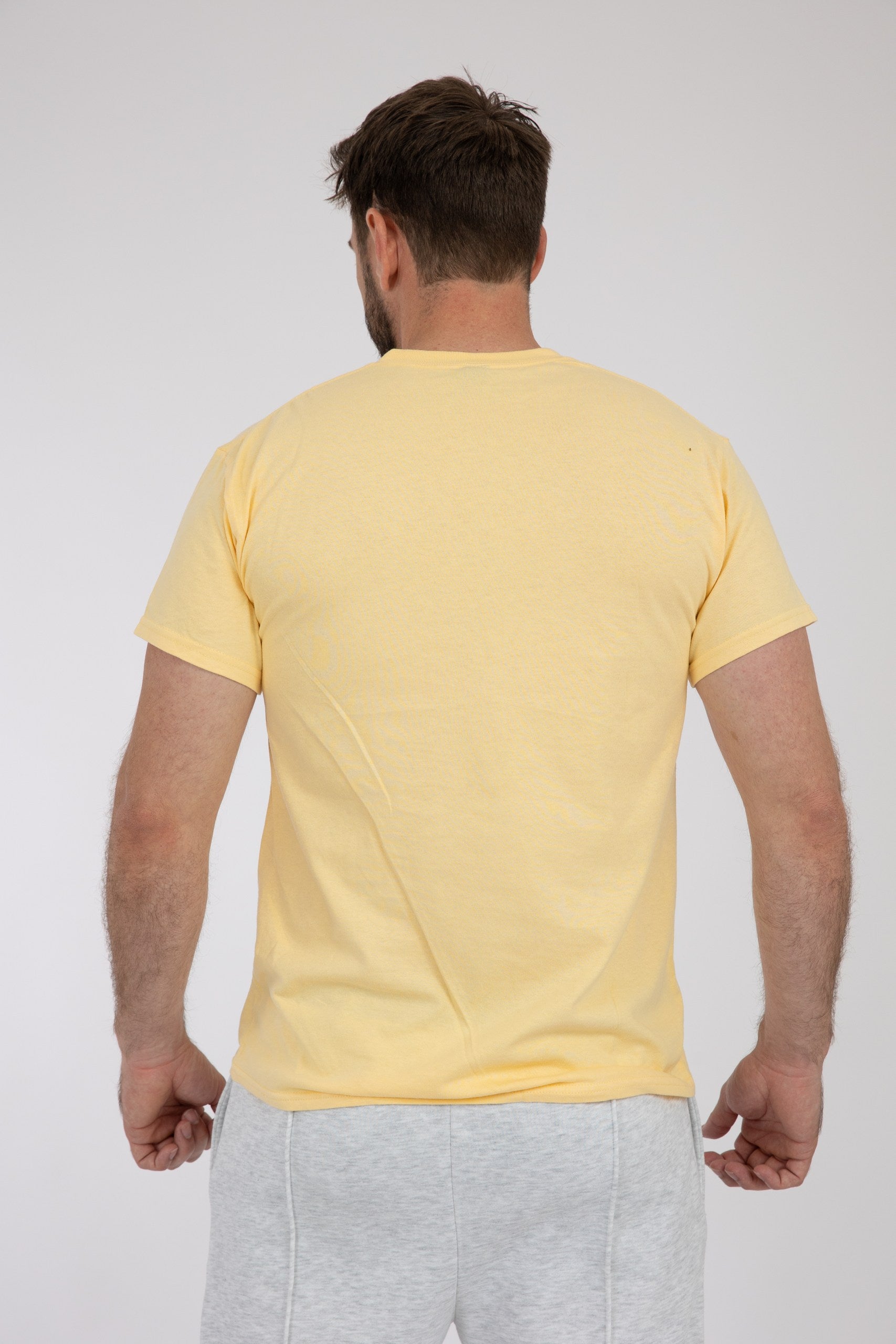 Adult Solid T-Shirts Sand