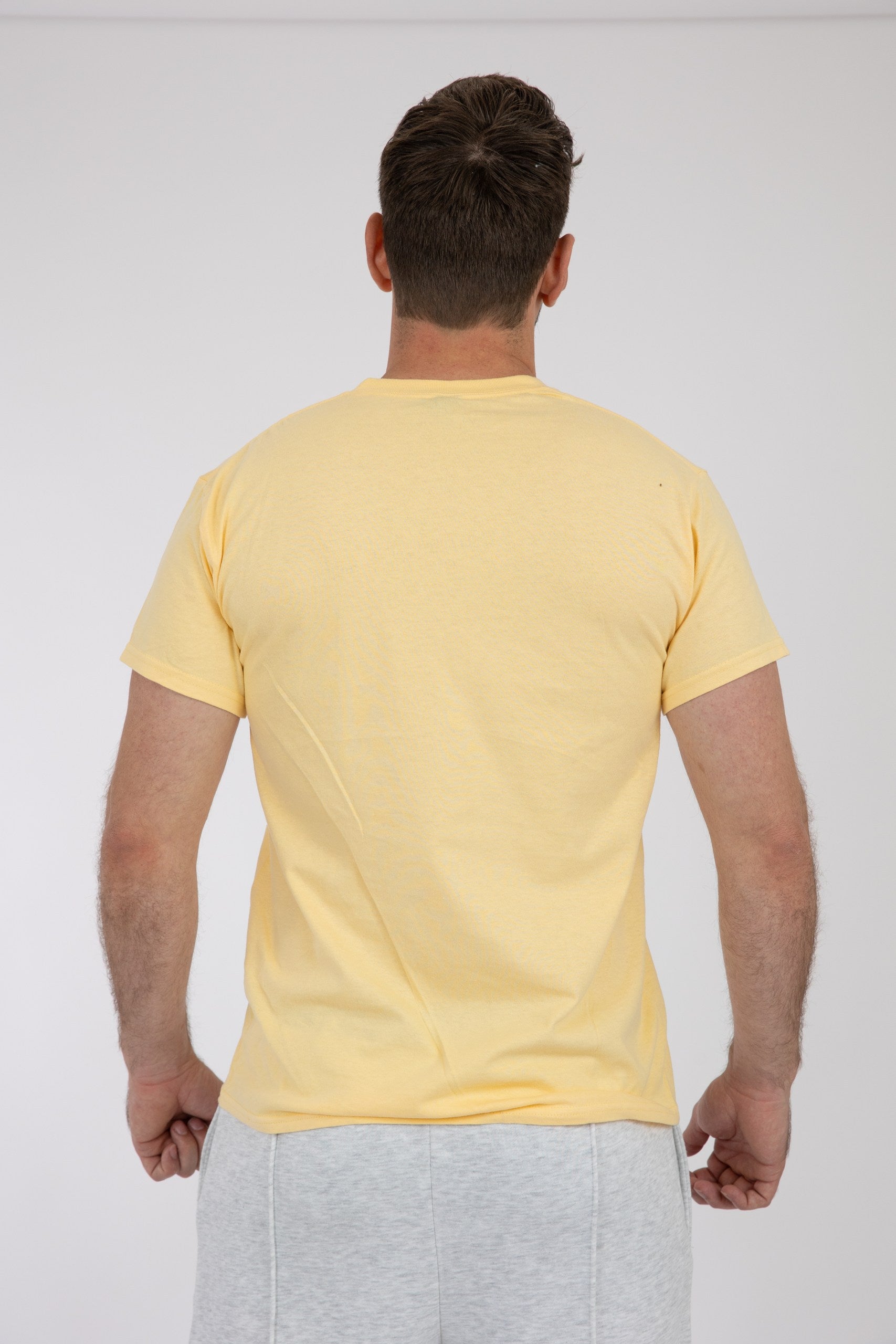 Adult Solid T-Shirts Sand